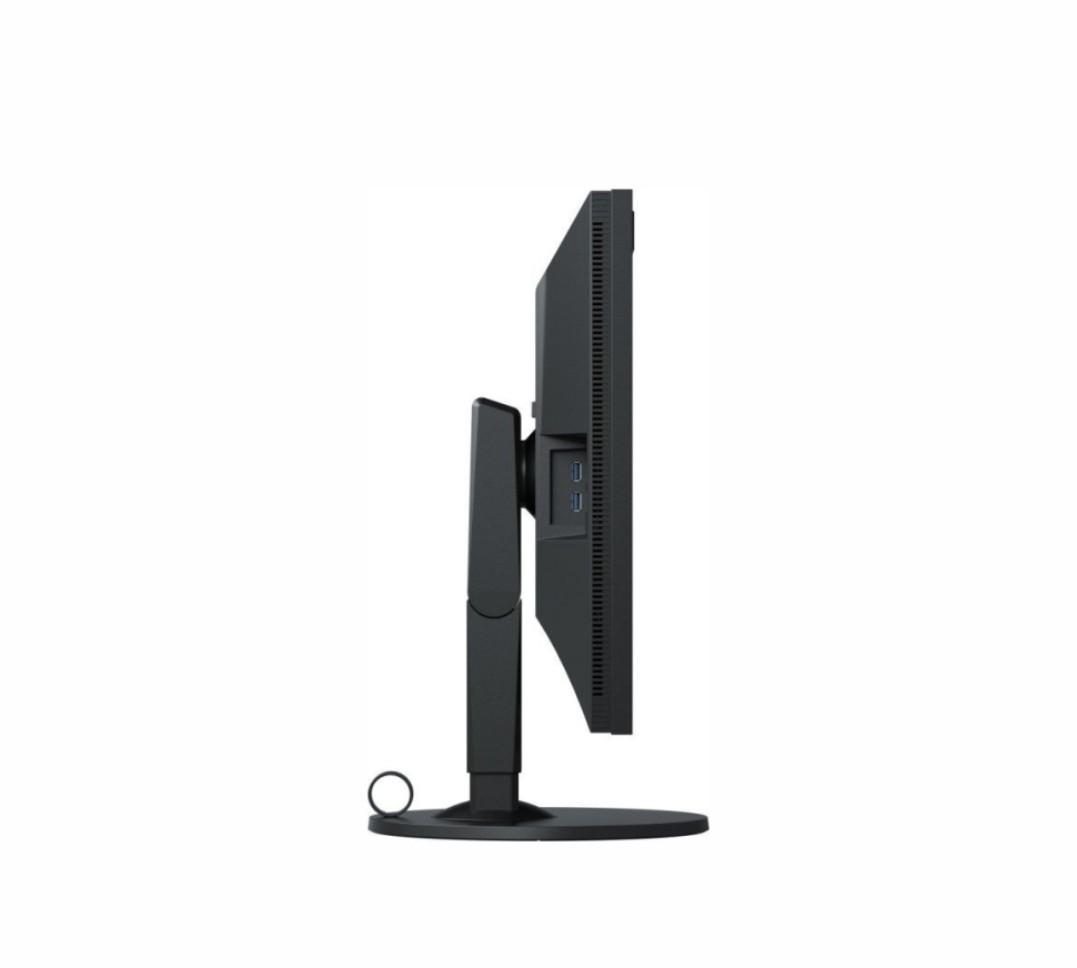 Monitor Eizo ColorEdge CG319X