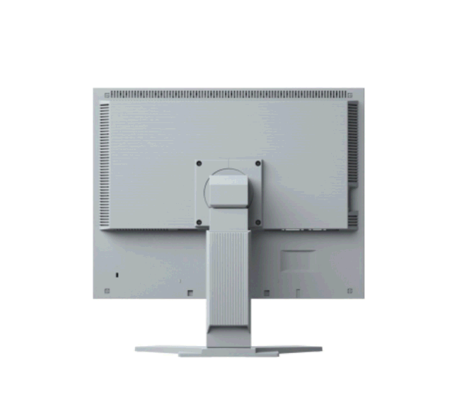 Monitor Eizo FlexScan S2133-GY