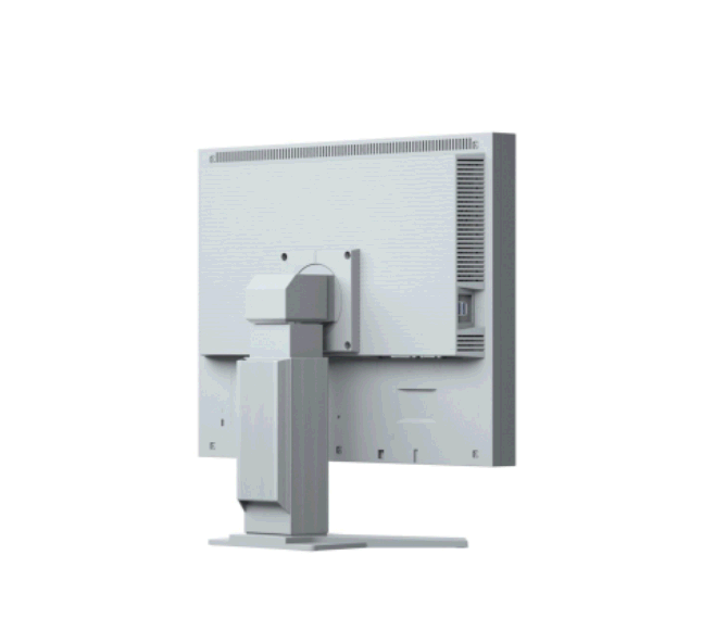 Monitor Eizo FlexScan S2133-GY