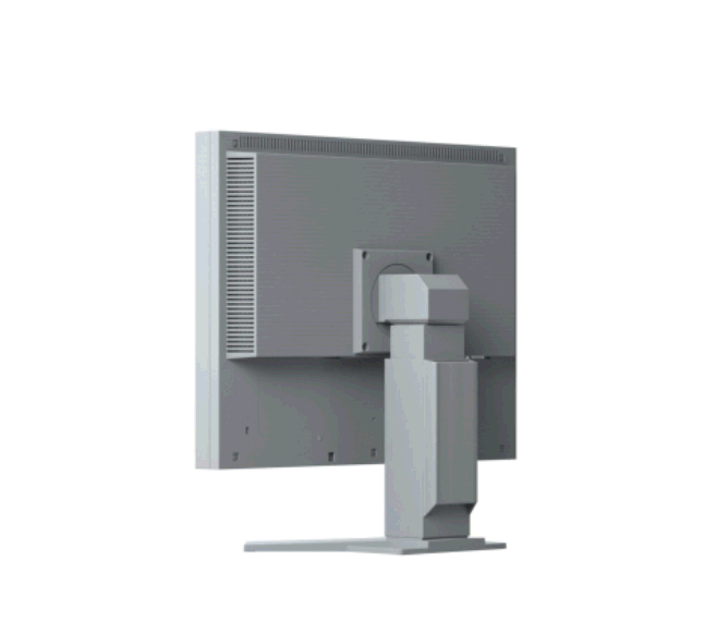 Monitor Eizo FlexScan S2133-GY