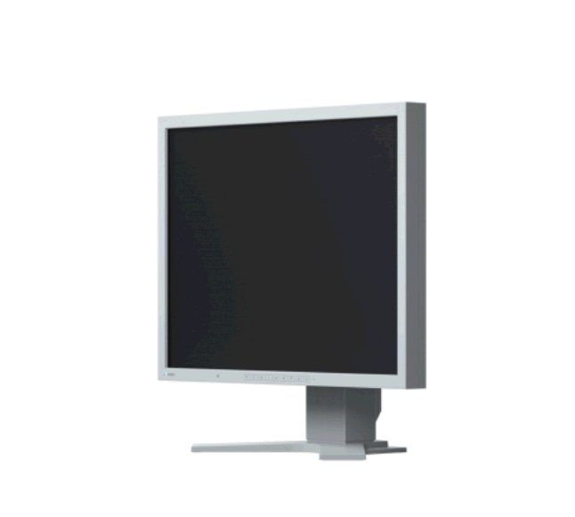 Monitor Eizo FlexScan S2133-GY