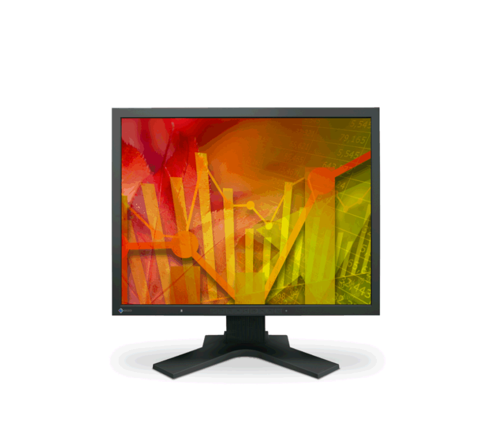 Monitor Eizo FlexScan S2133K
