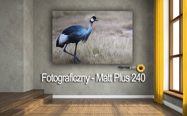 Papier fotograficzny PermaJet Matt Plus 240 (A3+) 25 arkuszy