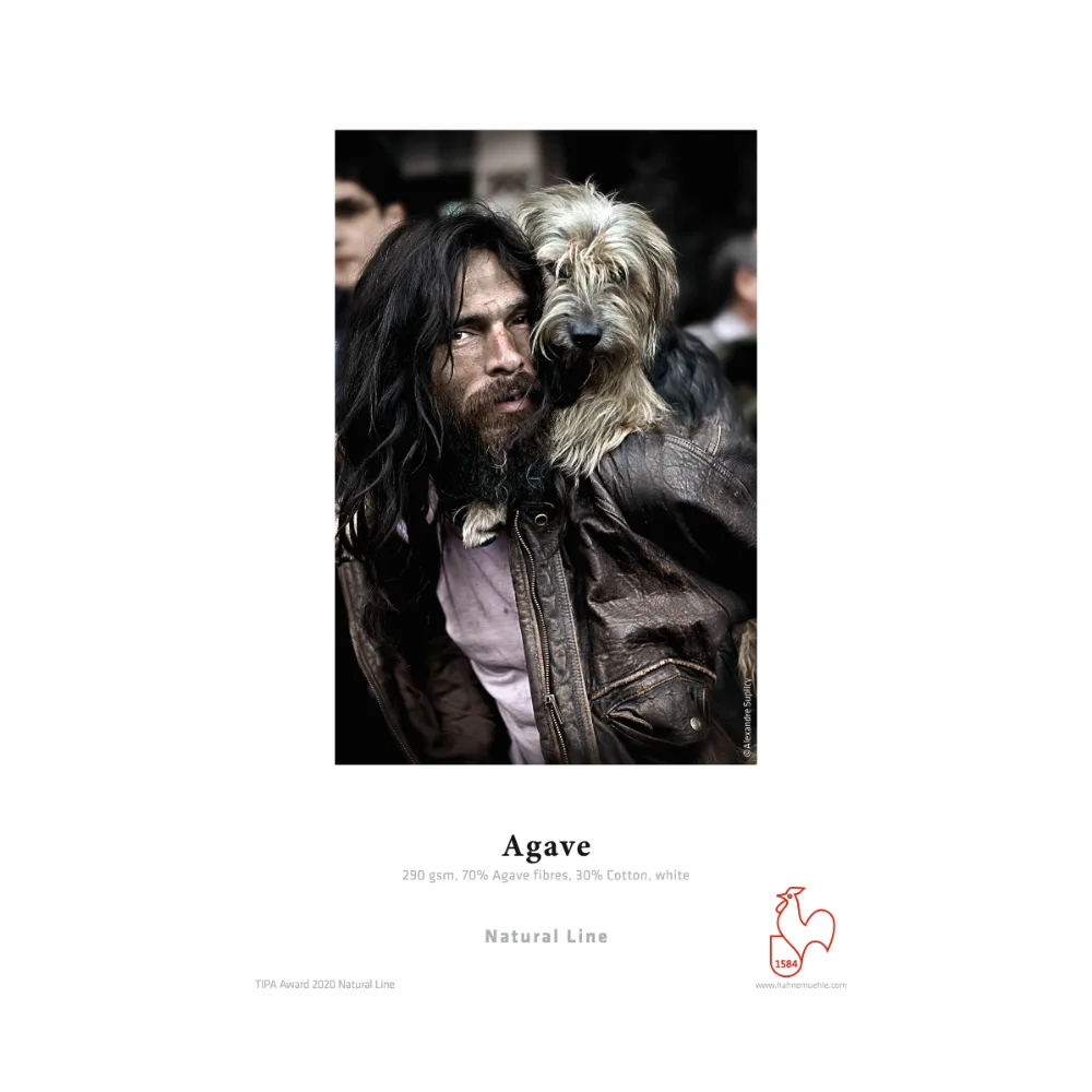 Hahnemühle Agave 290 A2 (25 arkuszy)