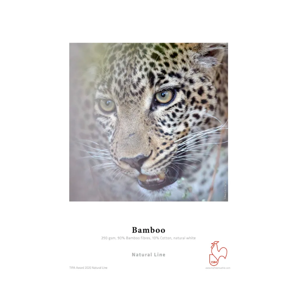 Hahnemühle Bamboo 290 24″ x 5 m (610 mm)