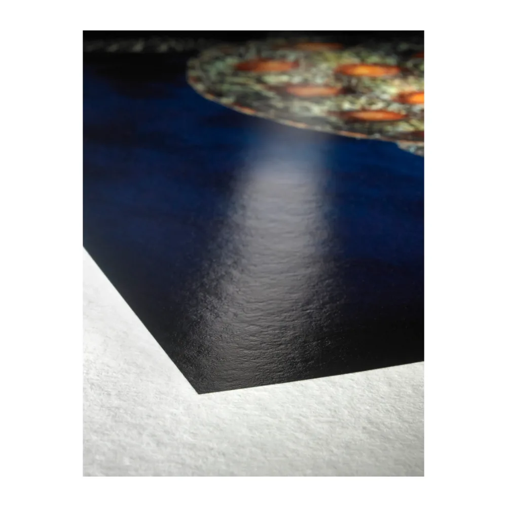 Hahnemühle FineArt Baryta 325 44″ x 12 m (1118 mm)