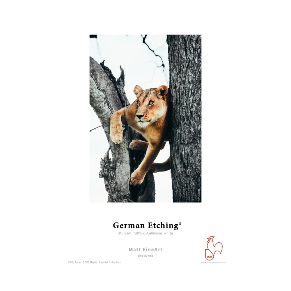 Hahnemühle German Etching 310 36″ x 12 m (914 mm)