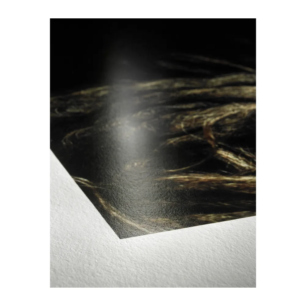 Hahnemühle Photo Rag Baryta 315 44″ x 12 m (1118 mm)