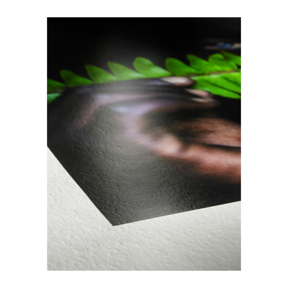 Hahnemühle Photo Rag Pearl 320 36″ x 12 m (914 mm)